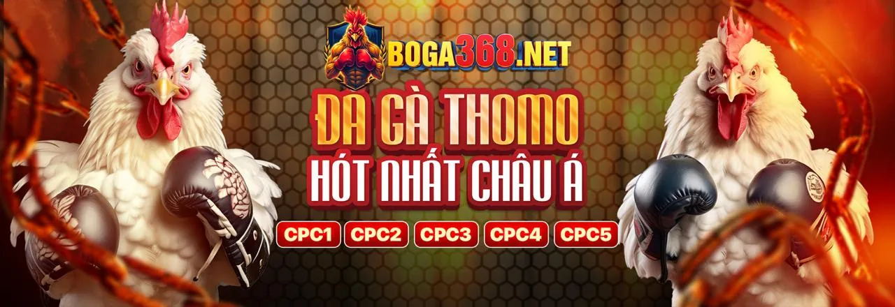 Các tài nguyên hữu ích và hướng dẫn của tải e2betvip