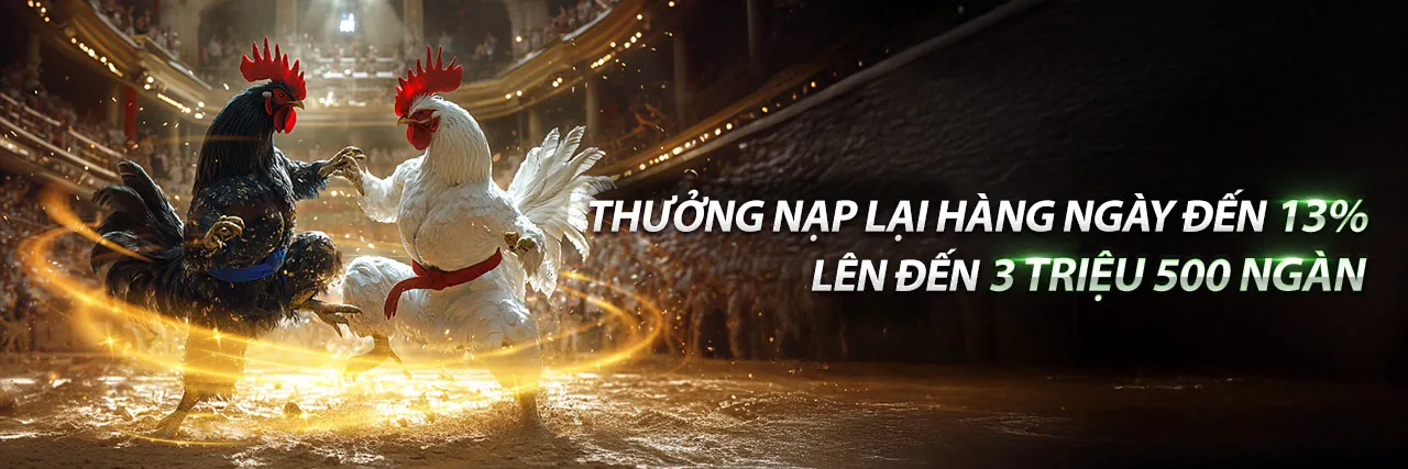 Blog tải e2betvip - Cập nhật tin tức và hướng dẫn